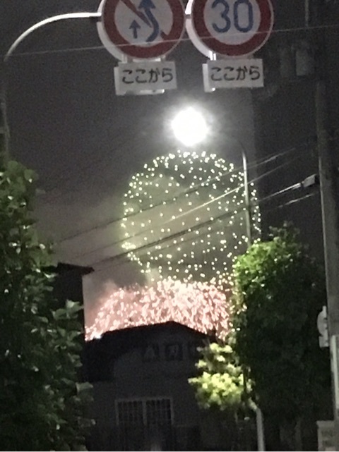 {25E01FA3-9651-4225-A1EB-A635E8D0E9A2}