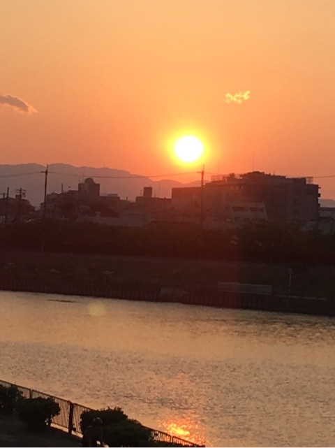 {4810D8D8-5184-474F-BEA2-064668DB07D9}