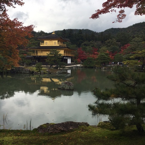 {F41A625F-8460-46CB-BECC-50BD9C771A74}