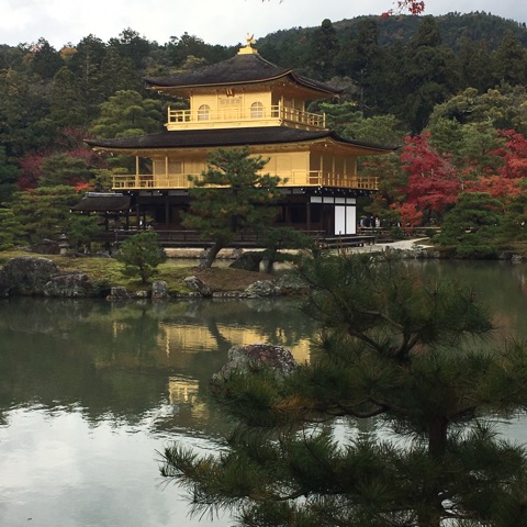 {7E4DD298-1F3E-4A83-BFFA-6E256279A073}