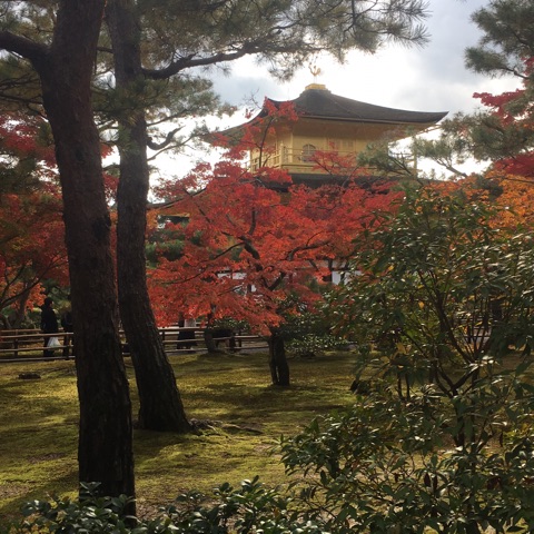 {4B2DA0FA-342E-45A5-A310-BB424955565F}