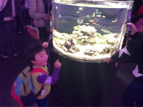 {7559A3D9-9B03-451E-8A82-6524EFE10A25}