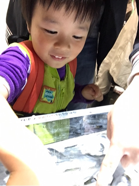 {AFEAB618-1D9B-4D10-97ED-E52642E20776}