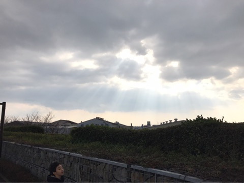 {41B40846-0C91-4280-8685-AA15EE54F301}