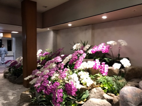 {8E92739B-FED6-46E0-9A6F-AE0AD1D25CFA}