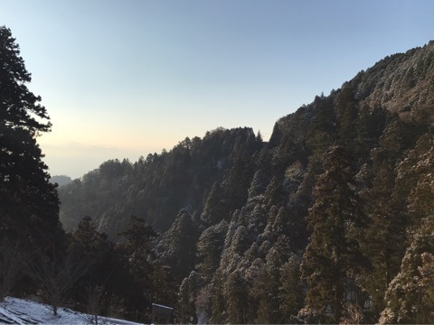 {2E67E333-F595-488F-8BFF-C059CCA1C963}