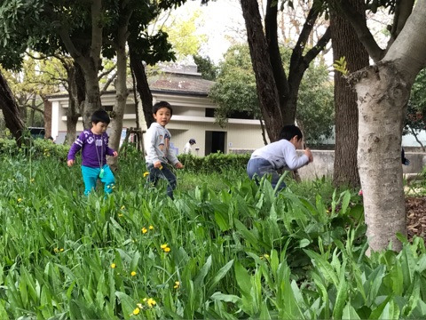 {24DBAEAA-A43C-473C-987B-F8AFDB1B1417}