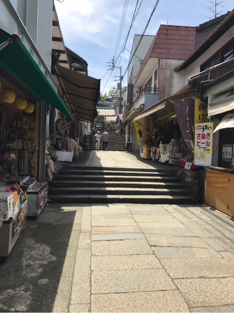 {BF98779E-2758-4024-A739-E4BCB70CB7C6}