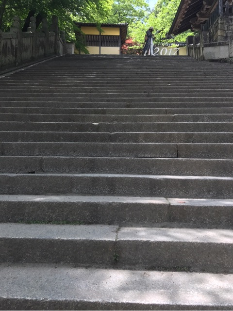 {FBF99CFB-982F-462C-9494-247D8E41AF12}