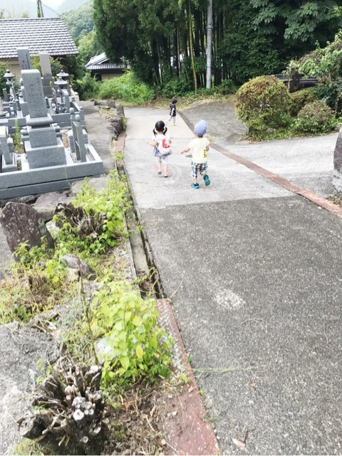 {6251DCA9-313F-4741-BEBD-8324DF8959DB}