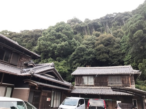 {3FE36239-0B63-4765-A753-1182C1A1772F}