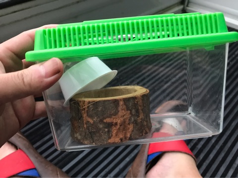 {C6B781DA-CF6A-47D6-84ED-147D60B7EF20}