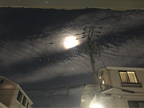 {3132AD37-21B1-4545-AEF8-9D73557B33EC}