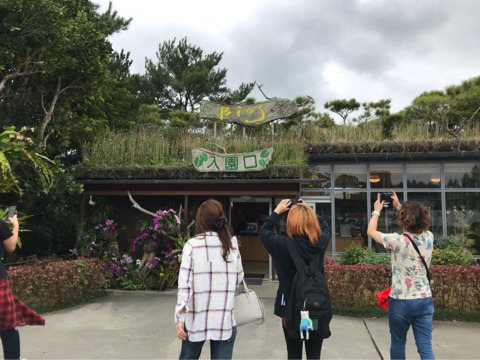 {243B1F80-878F-47DF-953B-58B833AFDA0F}