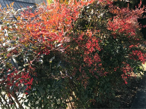 {254A2FA3-EF1D-4BBD-8B6F-8EDC1790F532}