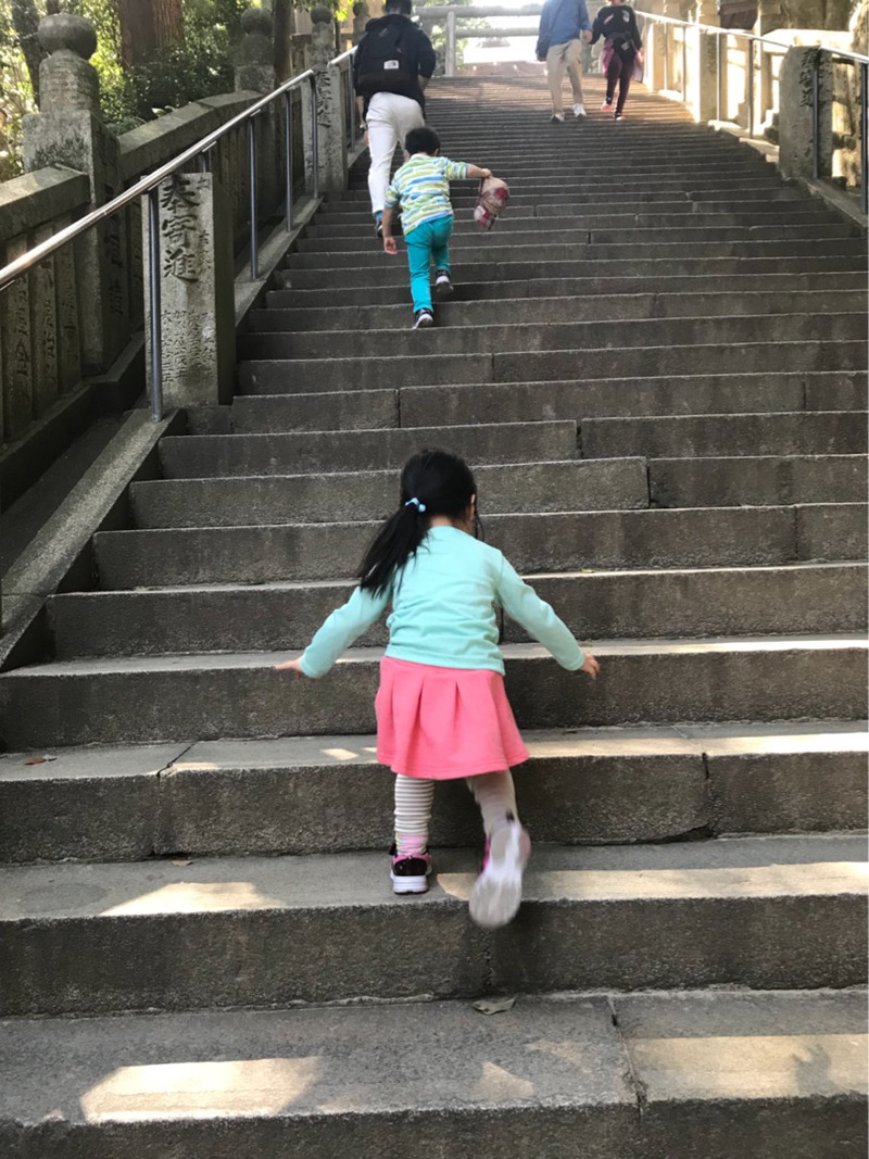 {DC38E185-13C1-4B66-BBEF-133BA844C6F6}