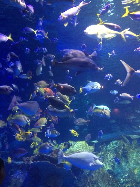 {5C986864-A1EE-4A29-AAF6-C2B4A2E46C94:01}