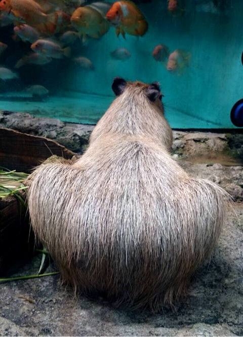 {6DC7233C-4F20-4A26-897C-3883BB8E49F8:01}