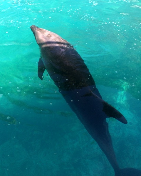 {81967671-EBA6-4029-902E-73613AFCA077:01}