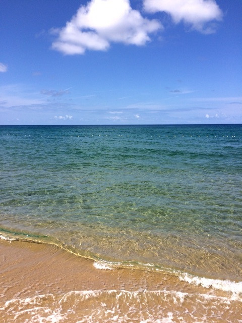 {EA5D22D4-7E8E-4E31-909A-90CEEA1377F1:01}