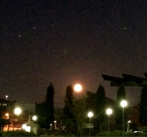 {51EB2AF8-597C-4FAB-BD6C-4EAE962ABF4F:01}