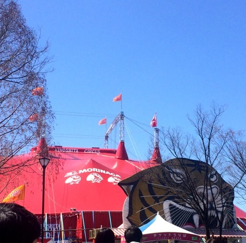 {618F9BF3-D705-468E-B04F-83CA297DCB8D}