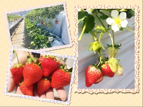 {BD03445E-F10A-40BA-B68D-FBDAE49E7501}