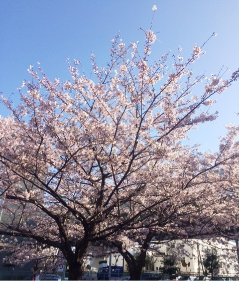 {9B7FACFD-2202-4E8B-9DE2-3B775DC3D4AB}