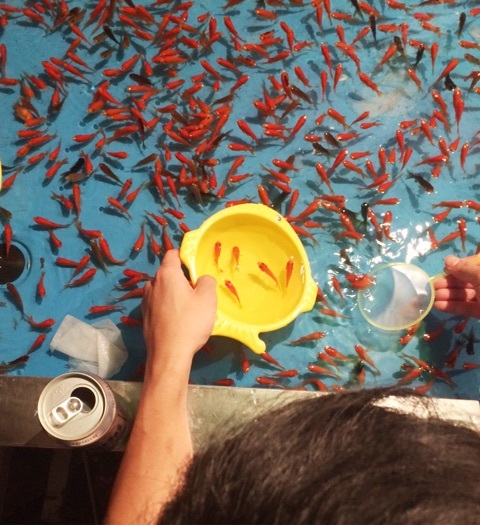 {08F4D2A9-2F53-47A8-8DC2-EFBA9FA08B09}