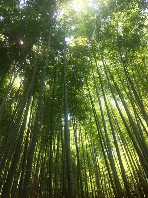 {5811478A-1E38-4870-B1C3-25494C47BC6F}