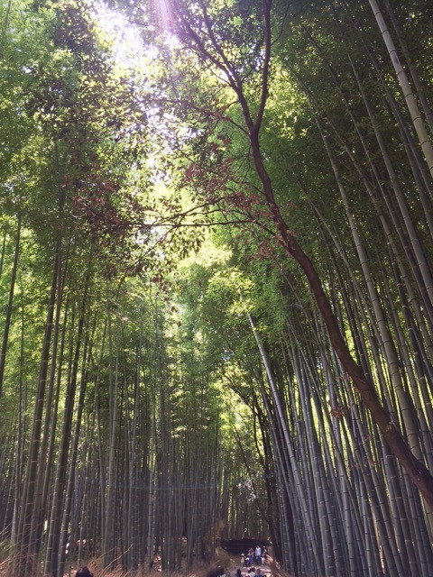 {D6514342-DA0D-4A83-B780-FD8D6DAB9D92}