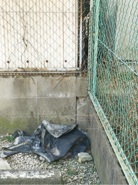 {AB249B77-3C2D-4F03-87E5-C021412D7686:01}