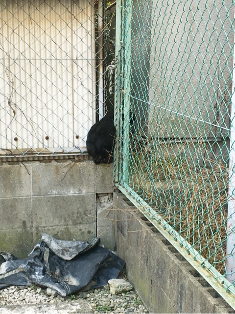 {A48EC9F9-9969-4FCD-82B8-39A91330DA93:01}