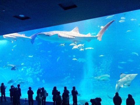 {5EC60E4E-7935-4D5C-8BF5-D2412FCE4B1C:01}