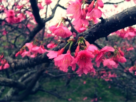 {C2E816E7-E2B4-41F5-A593-D96F14A87180:01}