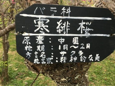 {F45F69A1-4BA6-4B6C-AA3A-1F66A7371791:01}