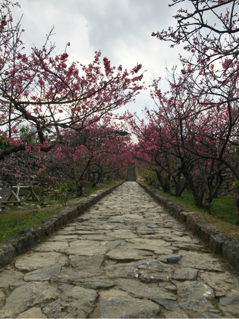 {67B01345-F3FA-4711-A470-7B4201B115EE:01}