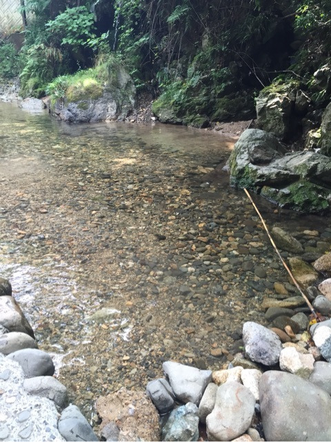 {9D8BC511-204A-48AB-AD6B-8F2D5C098C8A:01}