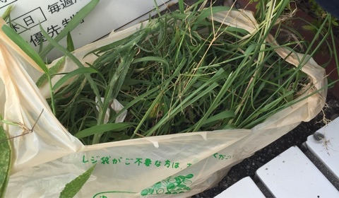 {C2B446B2-D39F-4338-B414-A6543F4BC59D:01}