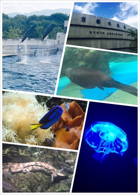 {B4ED1D23-E95C-4681-90EB-65E959DF9243}