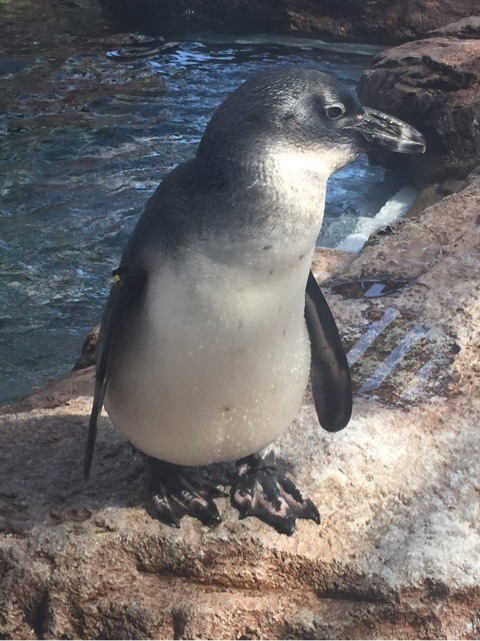 {467AD6DE-3C26-43BF-A62F-FD0A10C0CC6E}