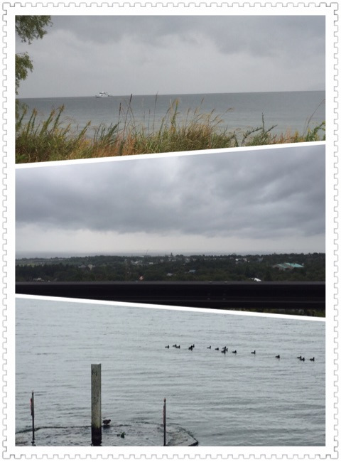 {5E728589-C961-40B6-B526-9E3A3367B175}