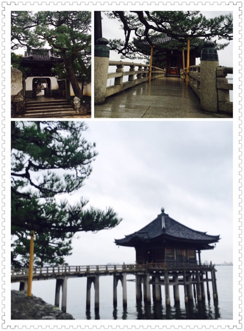 {7E9209C9-B129-4C5D-9CBA-8AF5711C2912}