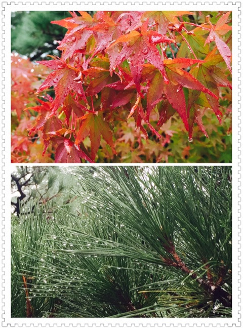 {5A7969DC-81AC-4596-8DC7-208C960870C0}