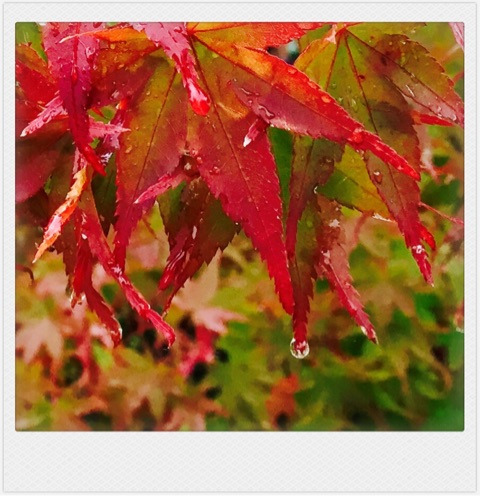 {0FA3EE88-FE13-4DA3-B6DE-0F6E480B42C8}