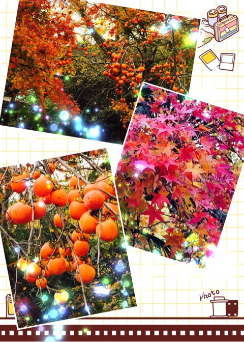 {E41244F8-8E25-480B-8572-896D8EFD2C5F}