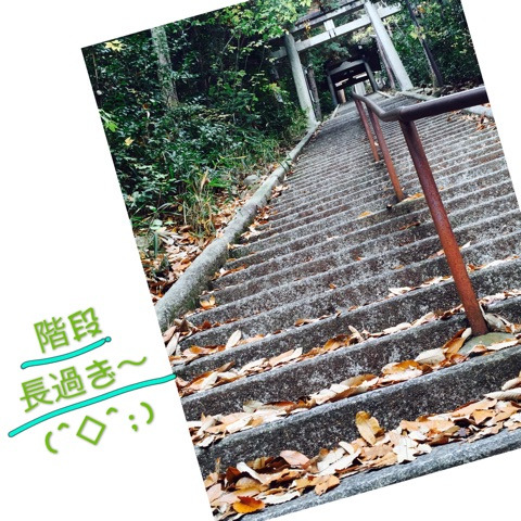 {59591199-F596-4327-830A-68C9611D95B9}