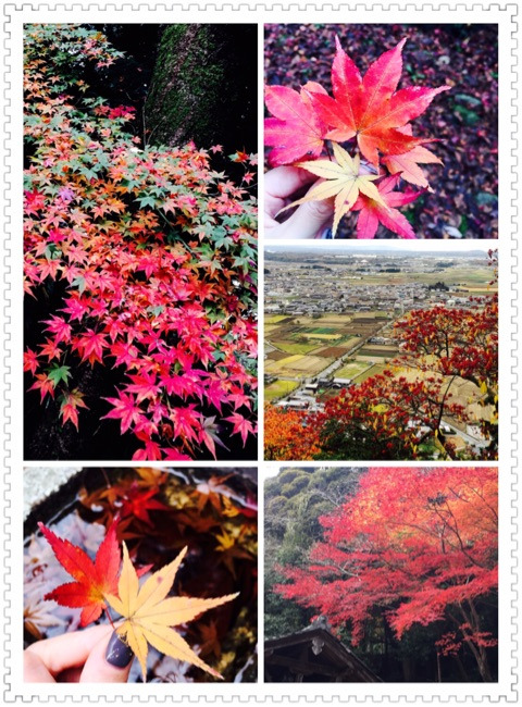 {8AFDCB92-2E7D-410F-BA40-79F2CBB15E6D}