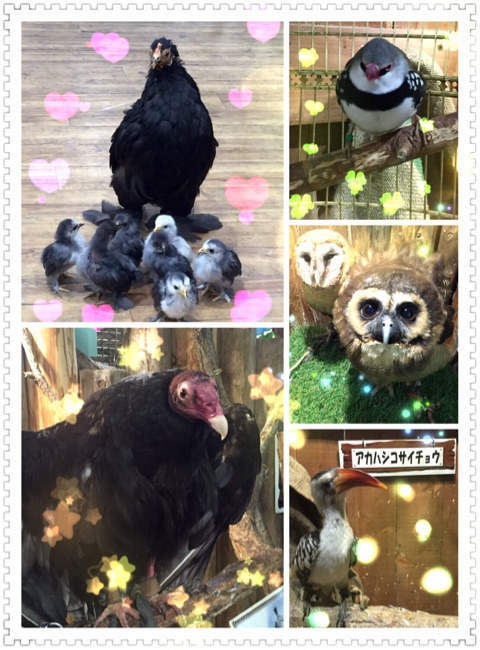 {7B934073-2D07-4D74-ABFF-072BE00A0414}