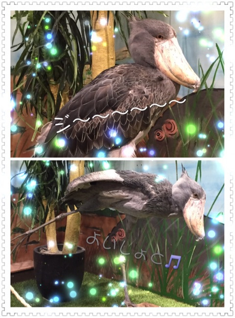 {2685CEDC-D241-4522-ADAE-5F4B8FE882EE}